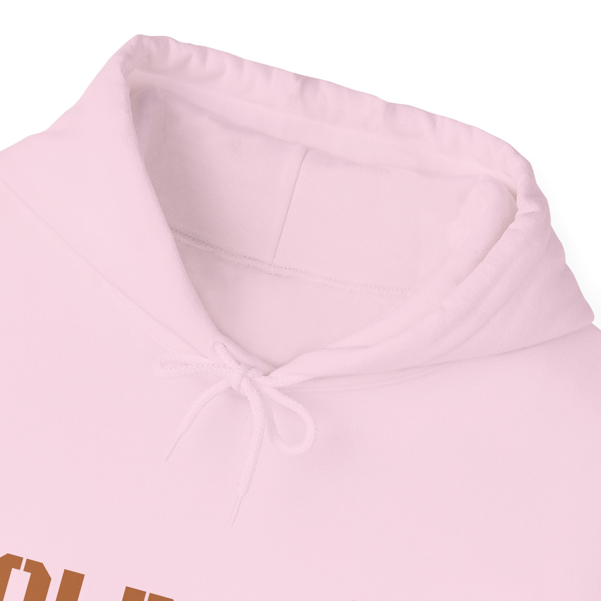 Lion Roar Hoodie — "BOLDSOUL" Graphic Pullover for Courage & Confidence