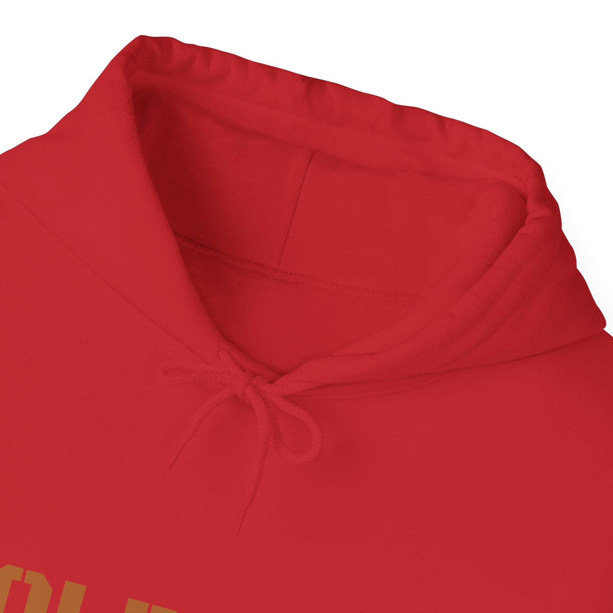 Lion Roar Hoodie — "BOLDSOUL" Graphic Pullover for Courage & Confidence