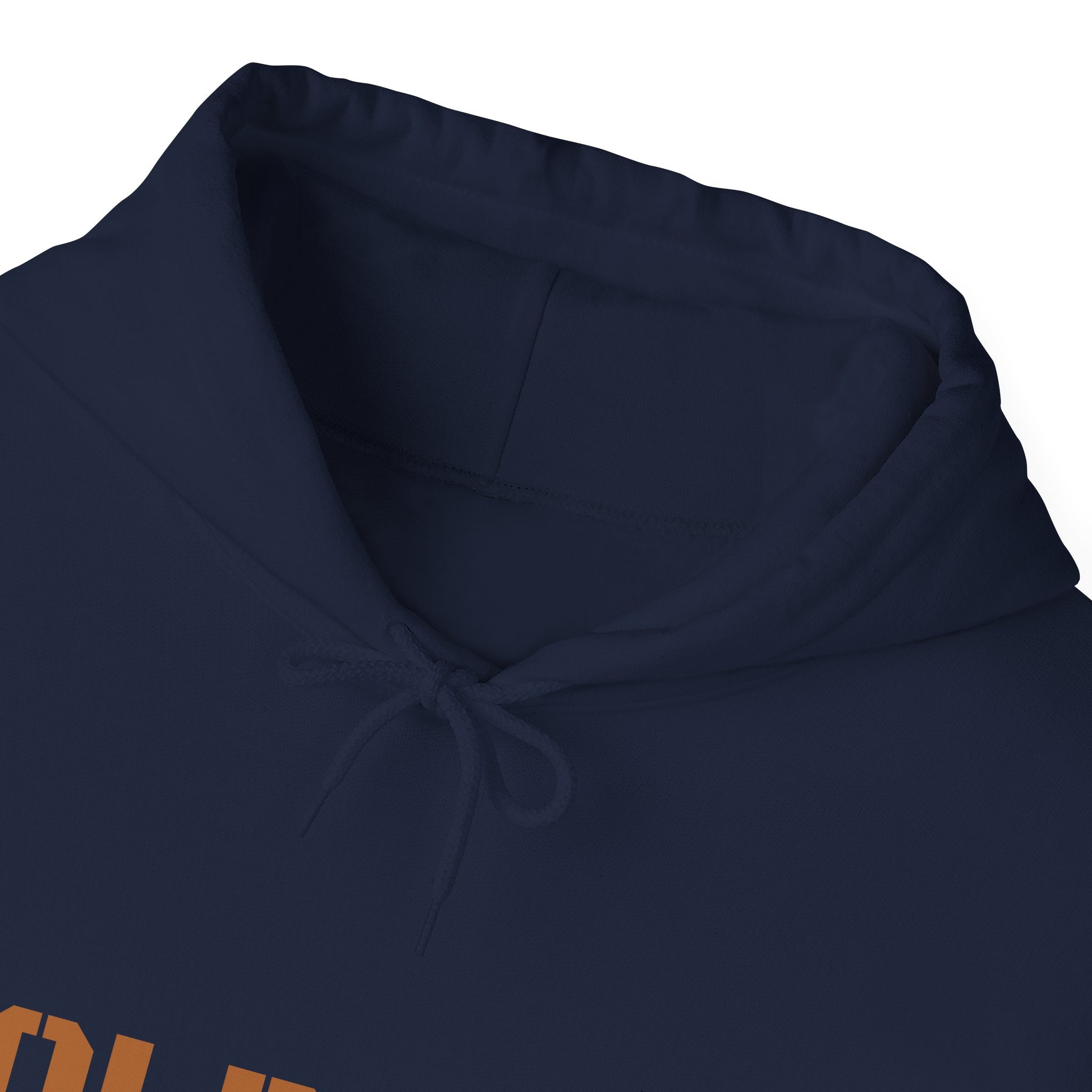 Lion Roar Hoodie — "BOLDSOUL" Graphic Pullover for Courage & Confidence