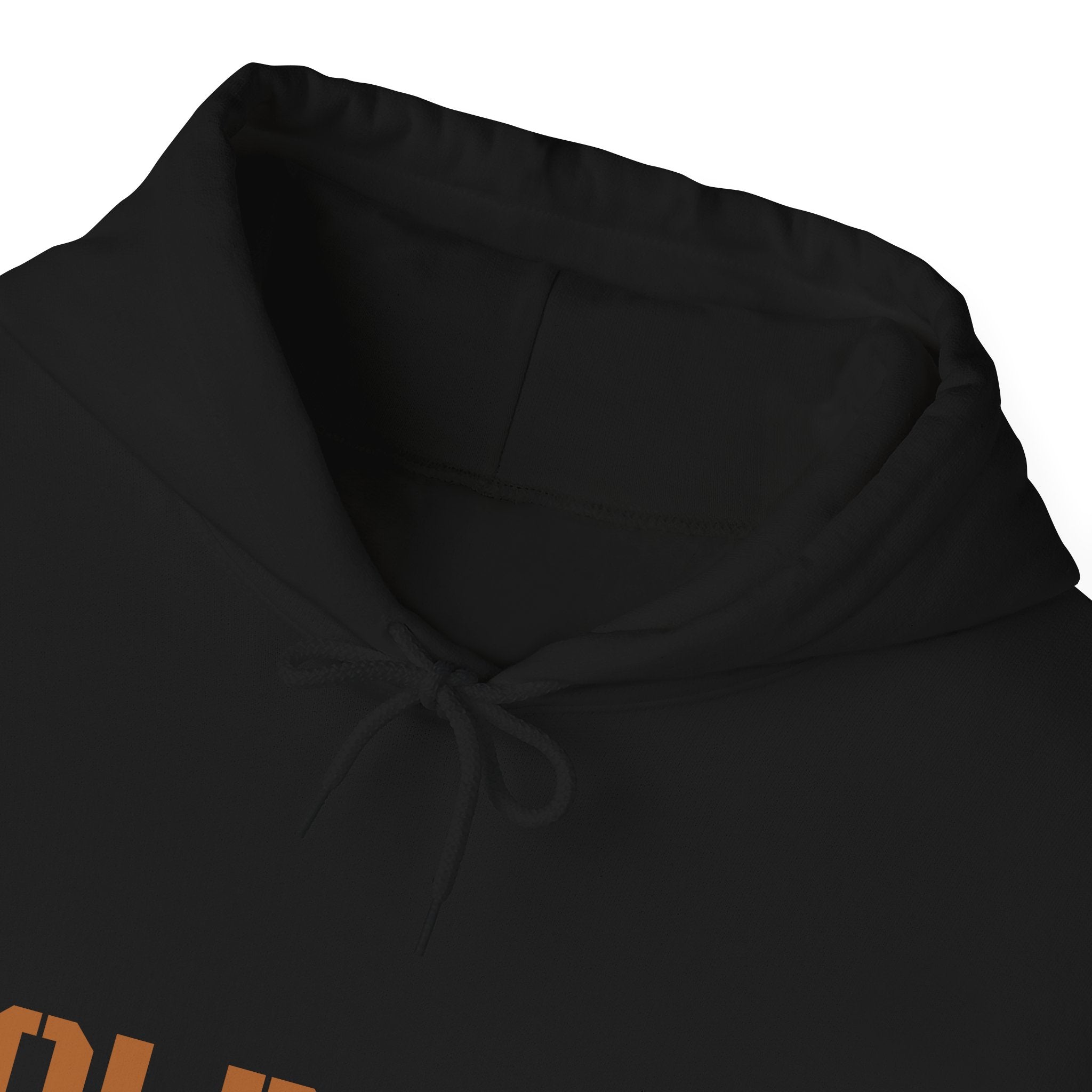 Lion Roar Hoodie — "BOLDSOUL" Graphic Pullover for Courage & Confidence