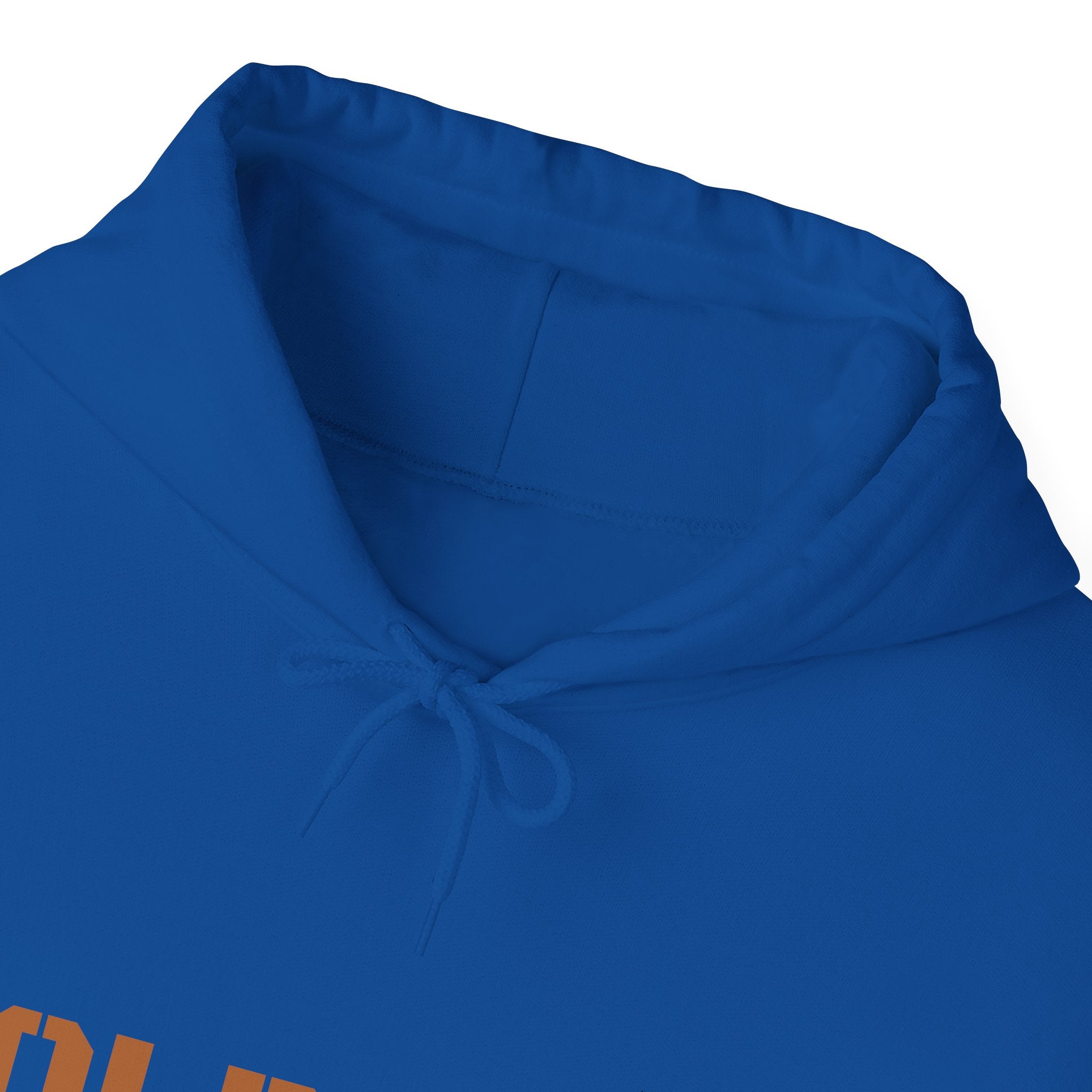 Lion Roar Hoodie — "BOLDSOUL" Graphic Pullover for Courage & Confidence