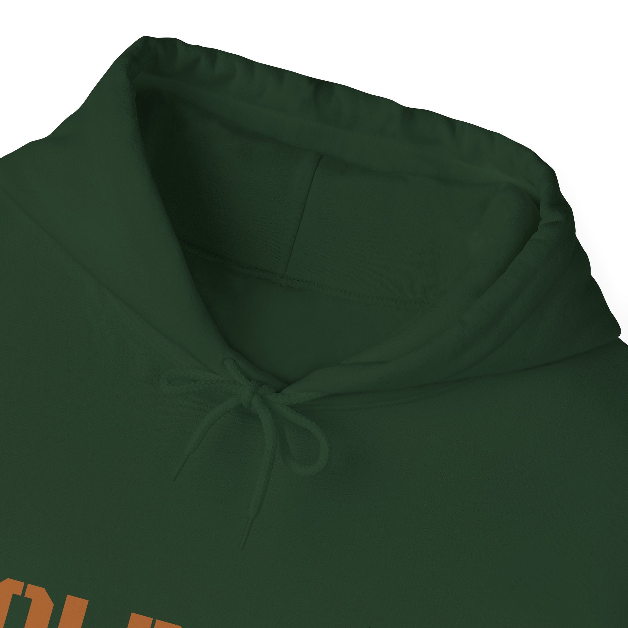Lion Roar Hoodie — "BOLDSOUL" Graphic Pullover for Courage & Confidence