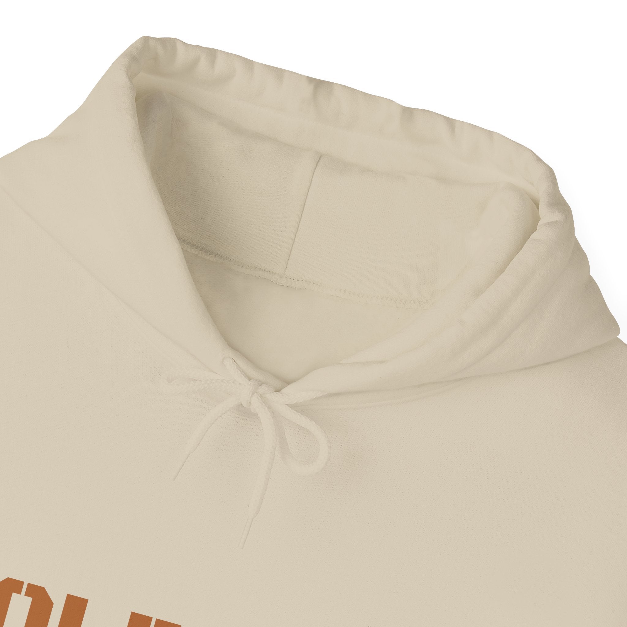 Lion Roar Hoodie — "BOLDSOUL" Graphic Pullover for Courage & Confidence