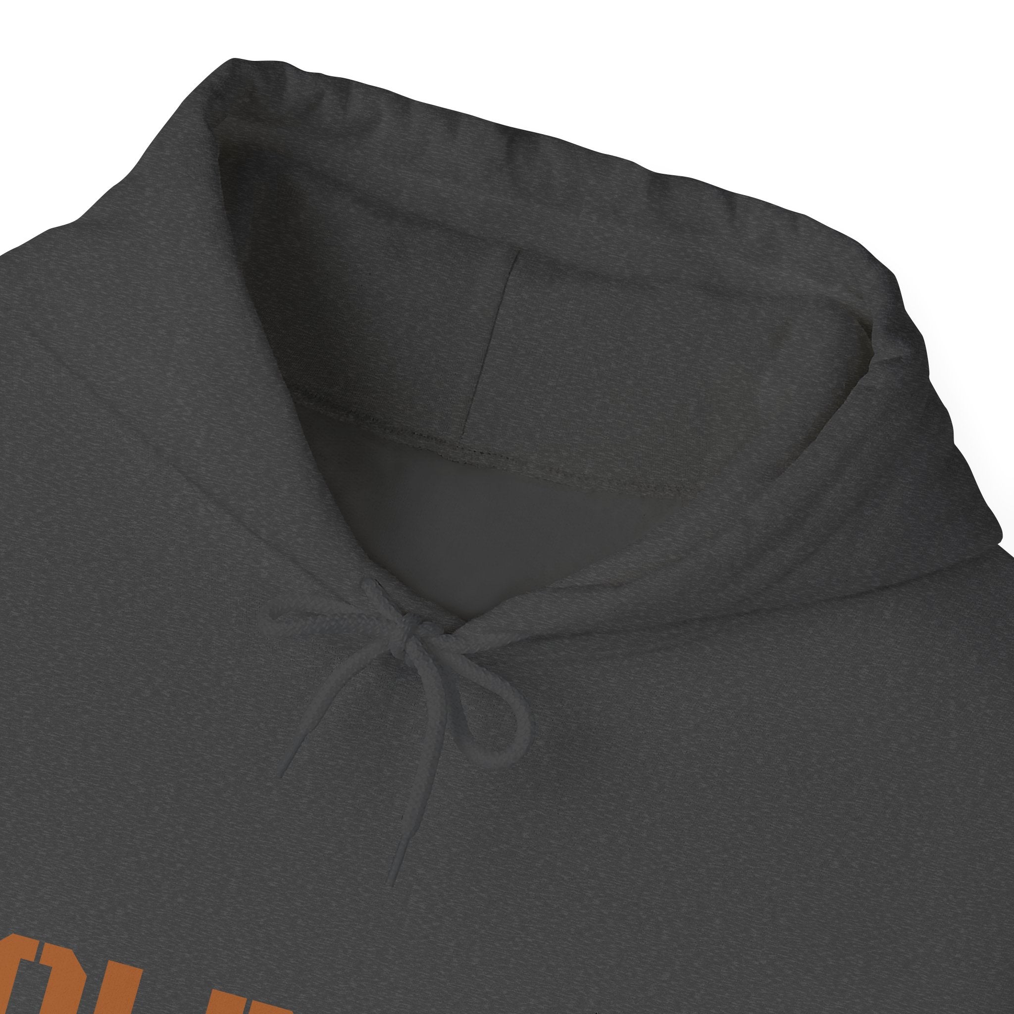 Lion Roar Hoodie — "BOLDSOUL" Graphic Pullover for Courage & Confidence