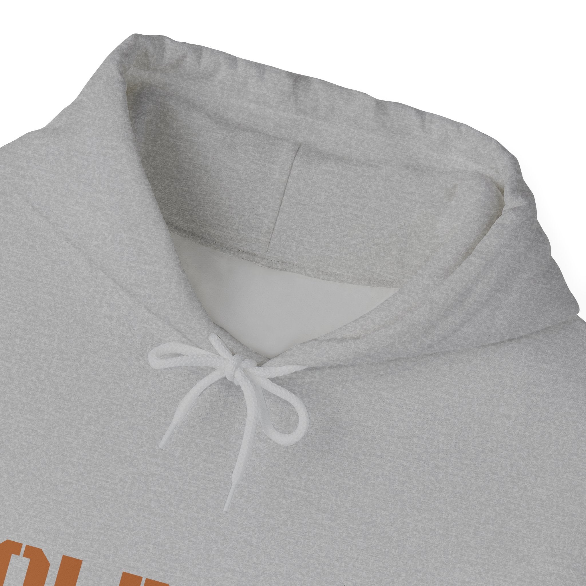 Lion Roar Hoodie — "BOLDSOUL" Graphic Pullover for Courage & Confidence
