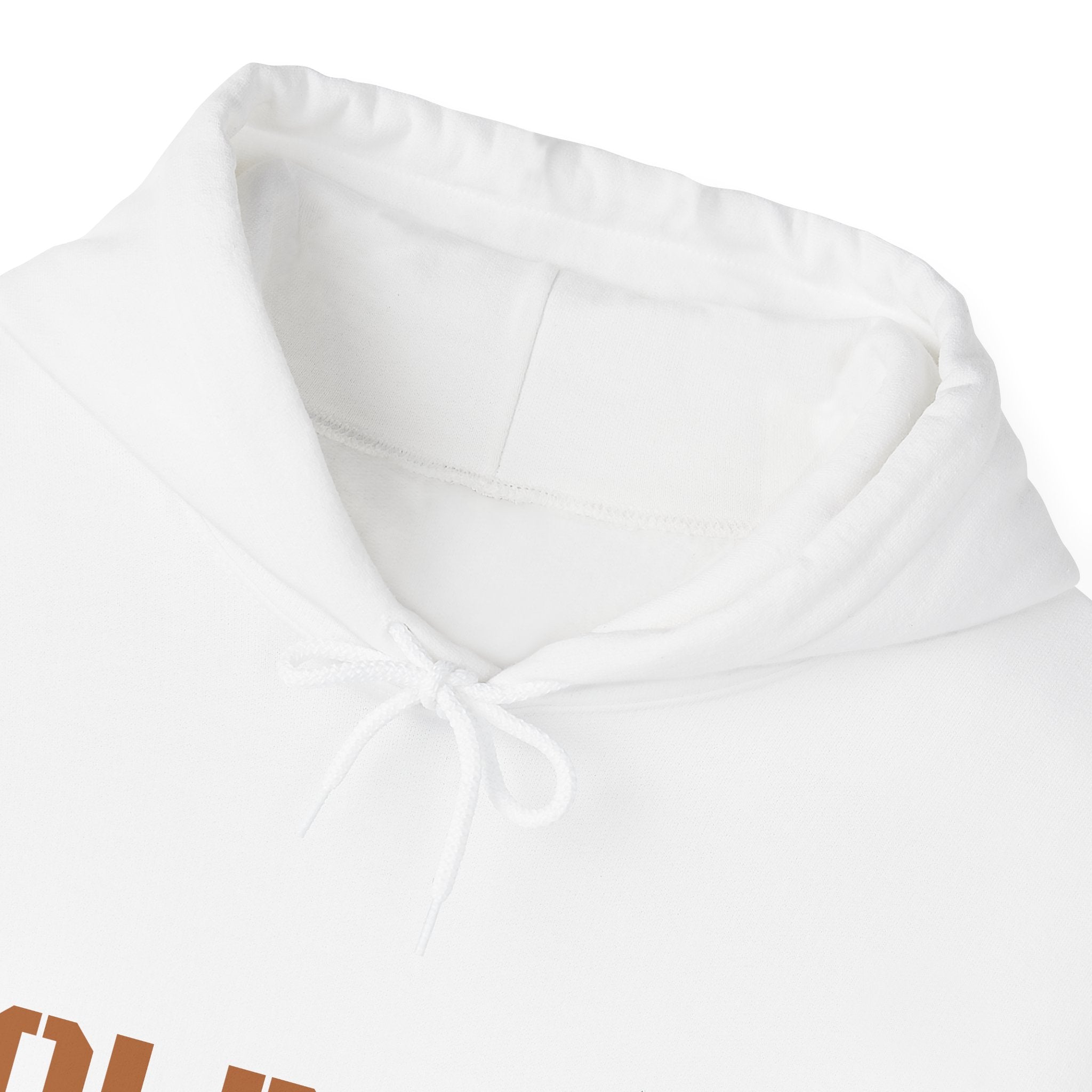 Lion Roar Hoodie — "BOLDSOUL" Graphic Pullover for Courage & Confidence