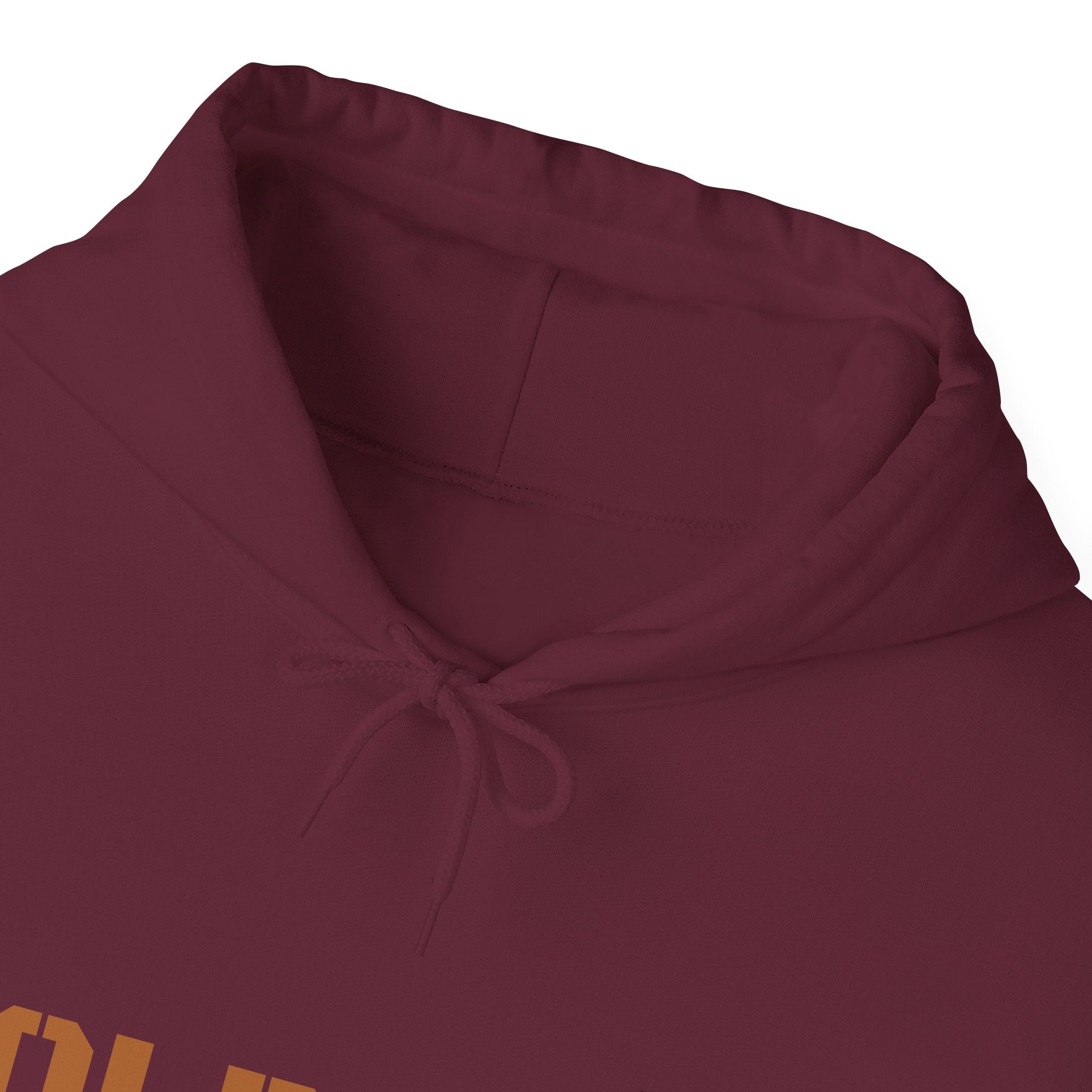 Lion Roar Hoodie — "BOLDSOUL" Graphic Pullover for Courage & Confidence