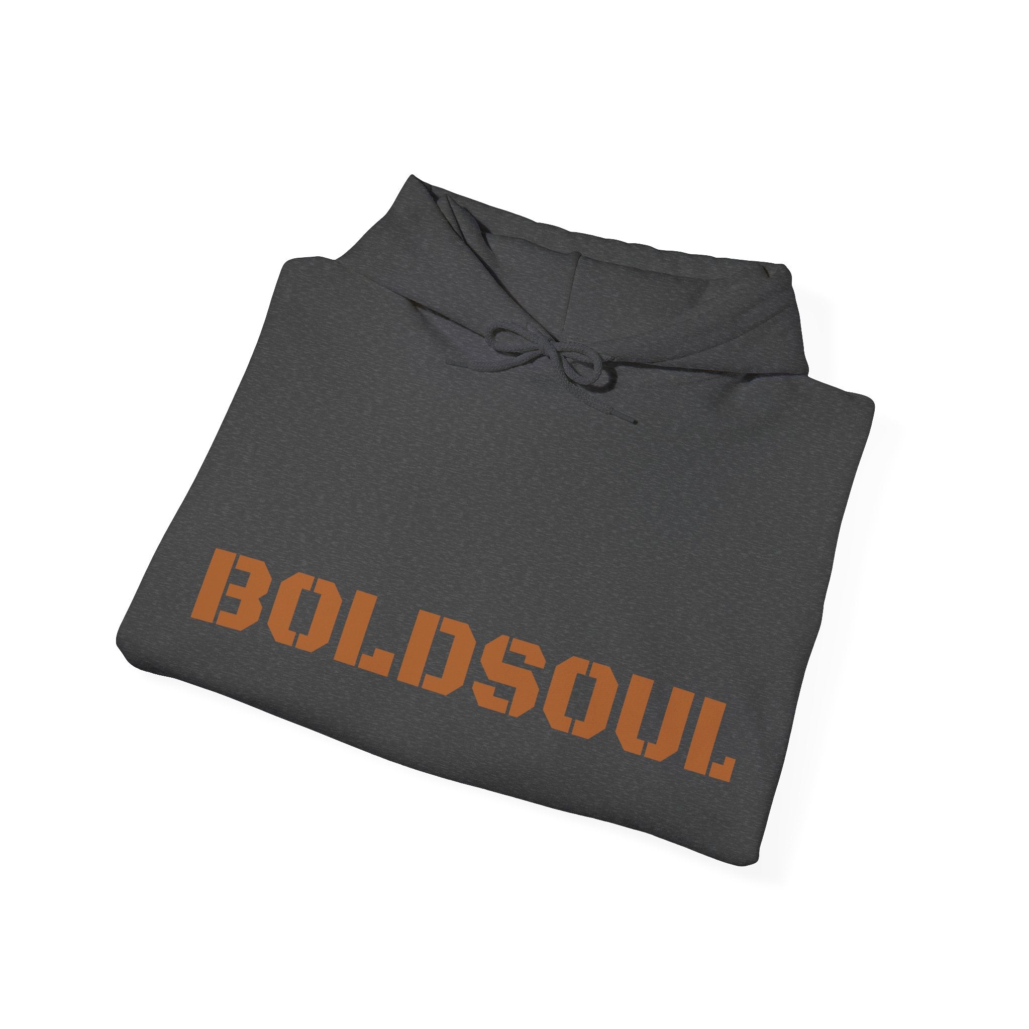 Lion Roar Hoodie — Boldsoul Graphic Pullover