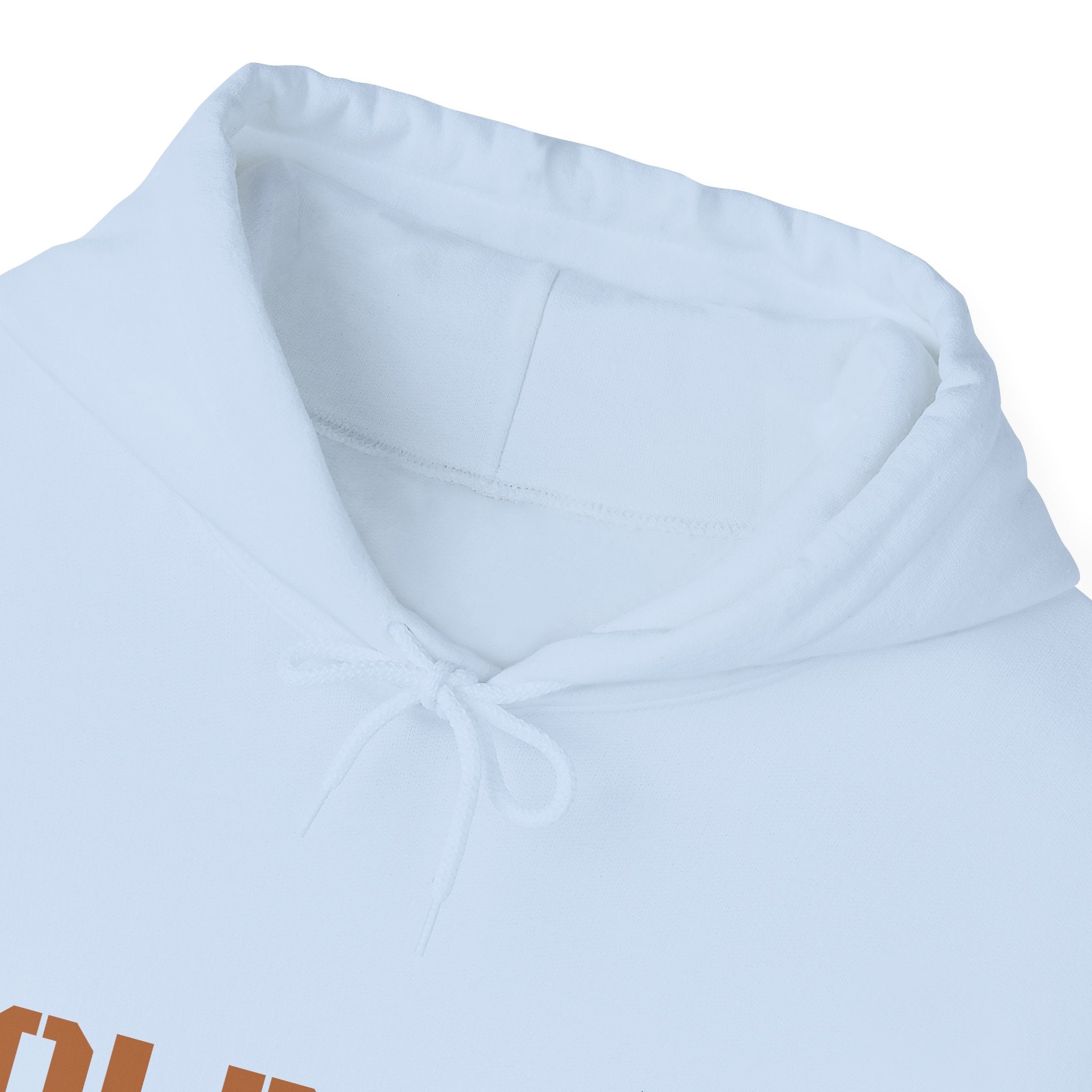 Lion Roar Hoodie — "BOLDSOUL" Graphic Pullover for Courage & Confidence